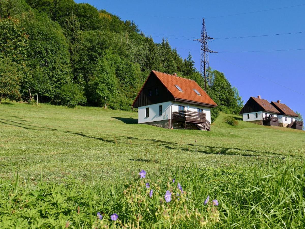 Holiday Home Starkov By Interhome Exterior photo