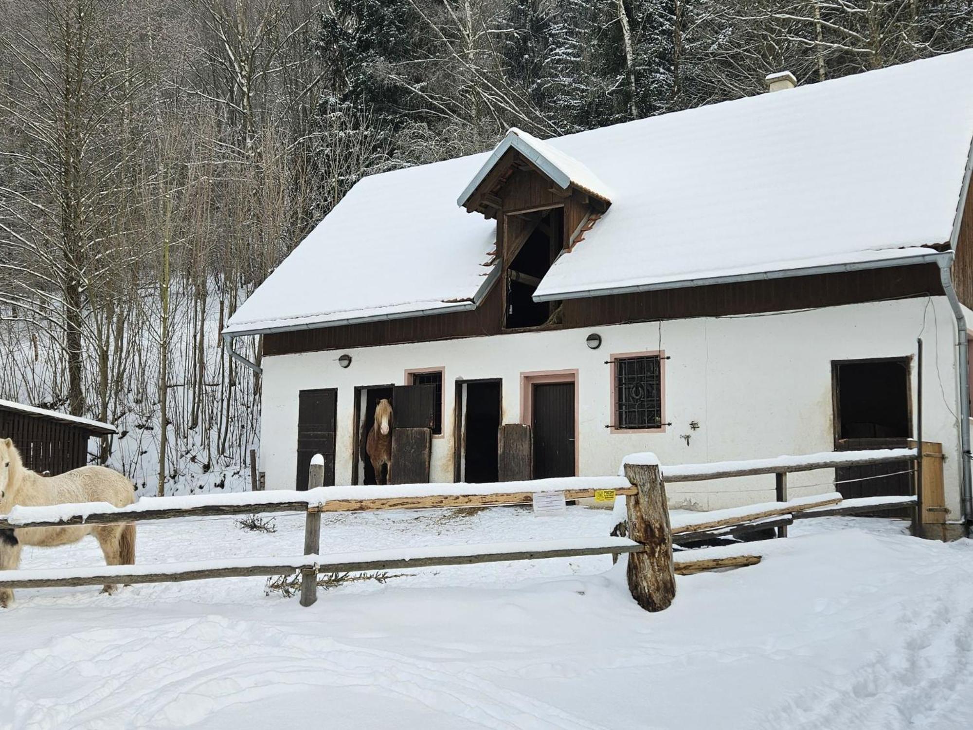 Holiday Home Starkov By Interhome Exterior photo